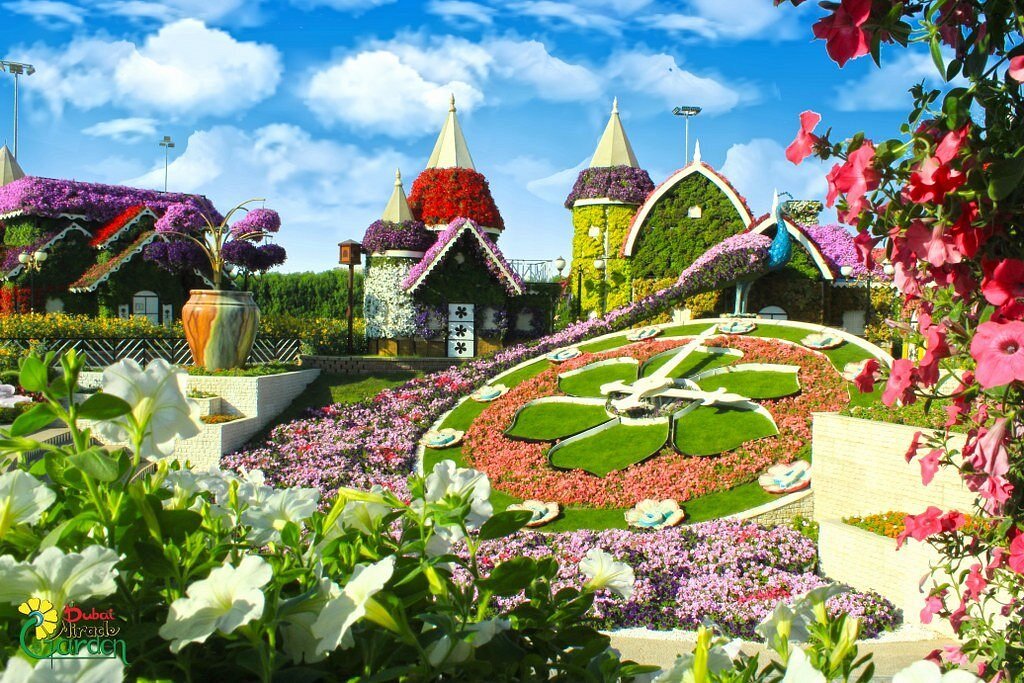 Dubai Miracle Garden