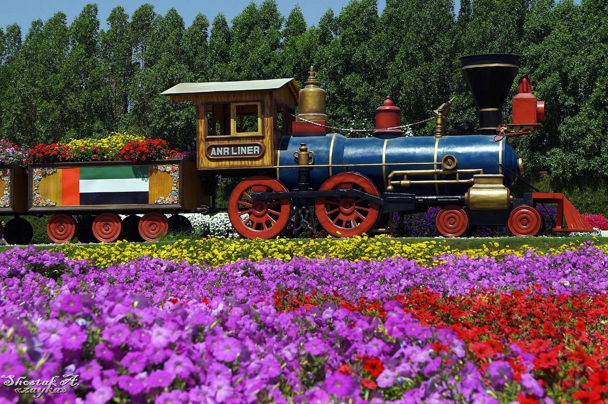 Dubai Miracle Garden