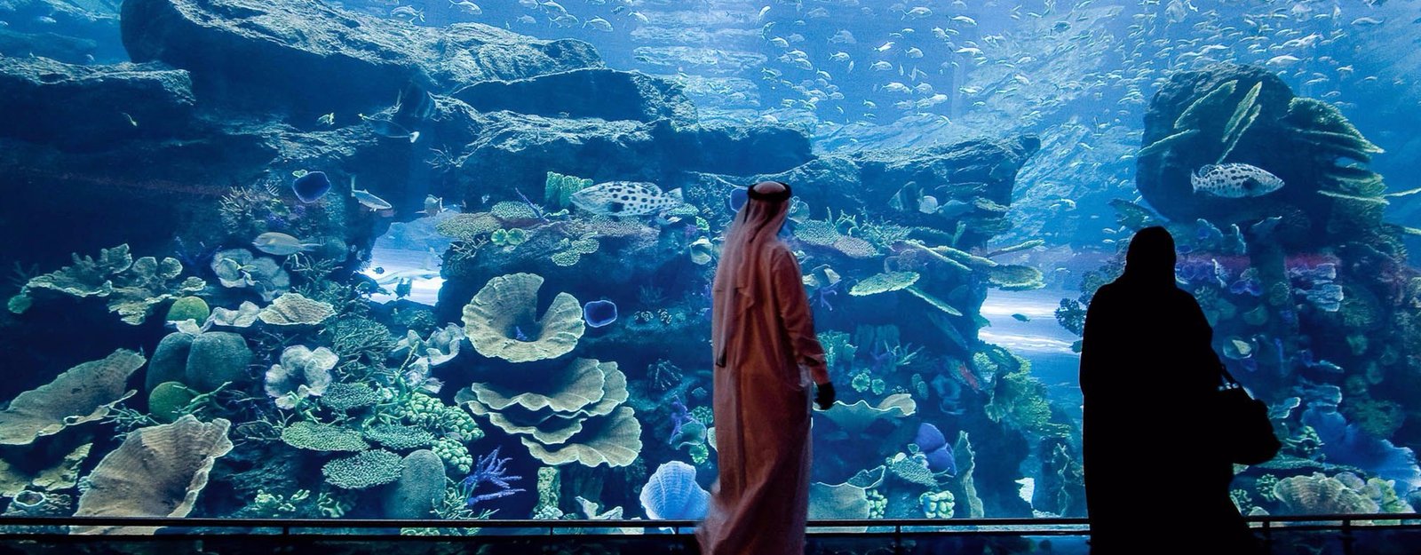 Burj Khalifa With Dubai Aquarium Combo