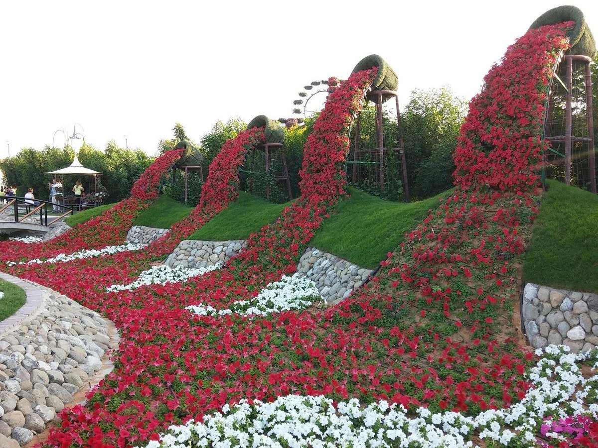 Dubai Miracle Garden