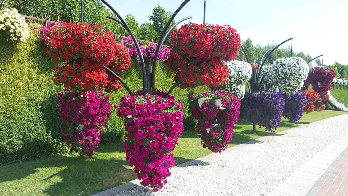 Dubai Miracle Garden