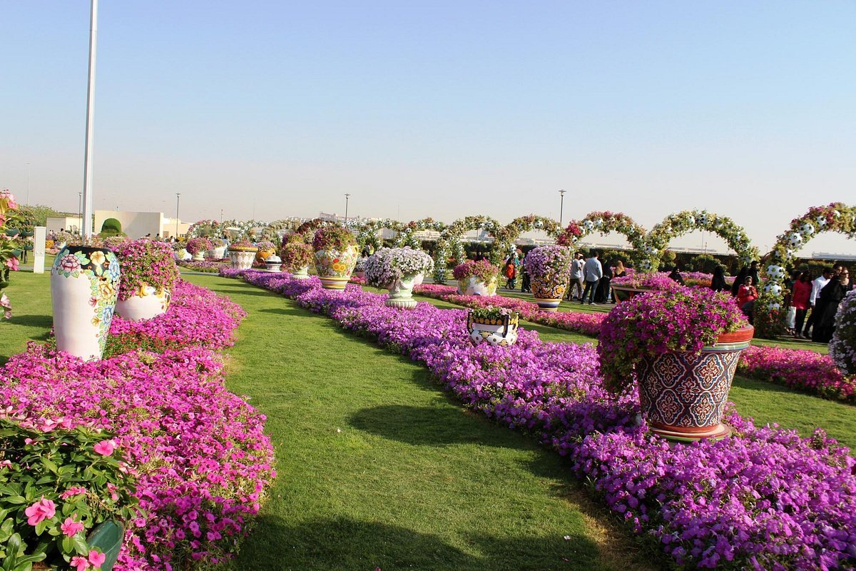 Dubai Miracle Garden