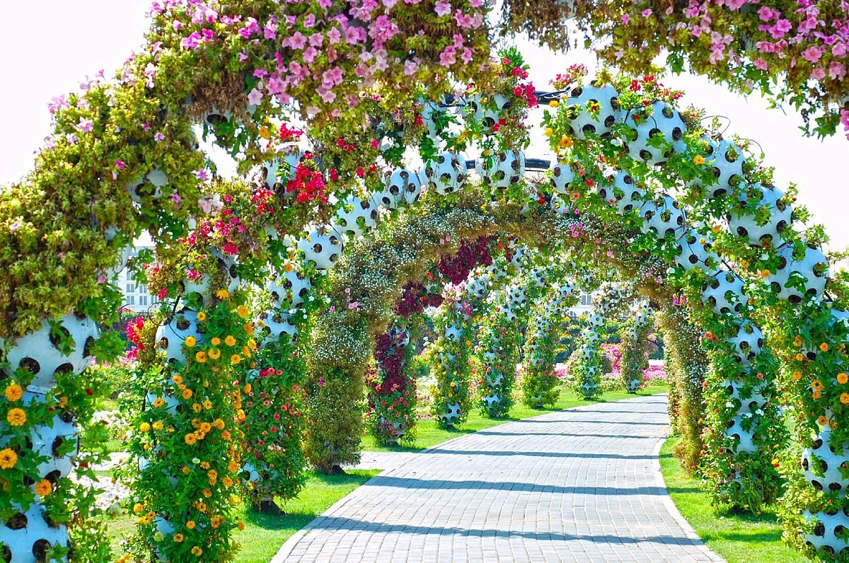 Dubai Miracle Garden