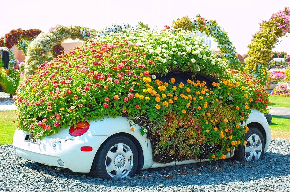 Dubai Miracle Garden