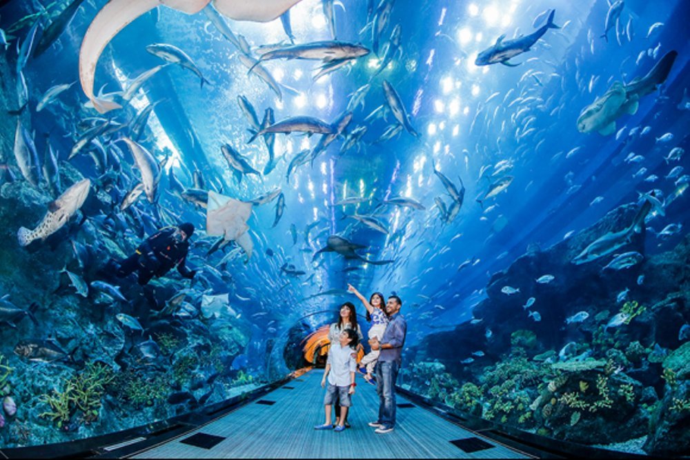 S.E.A. Aquarium in Singapore