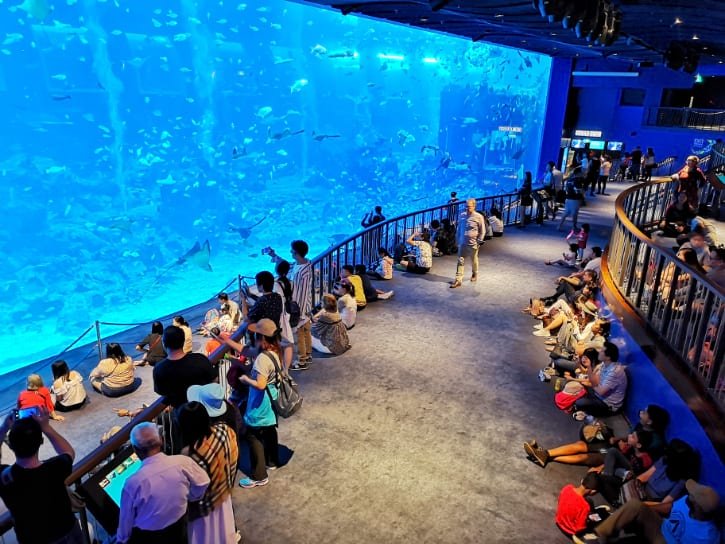 S.E.A. Aquarium in Singapore