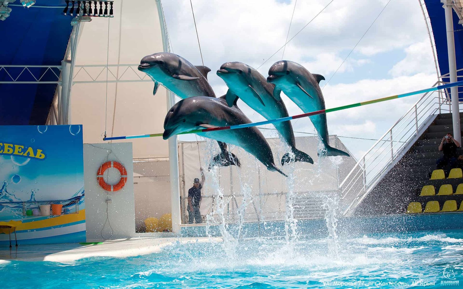 Dubai Dolphinarium General Pass - Closed On Tuesday