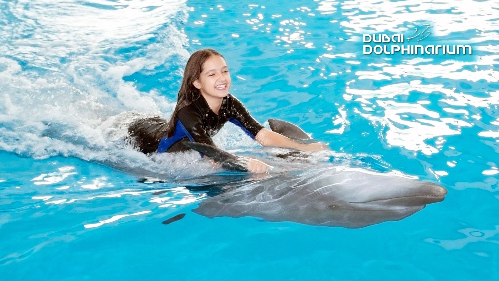 Dubai Dolphinarium General Pass - Closed On Tuesday